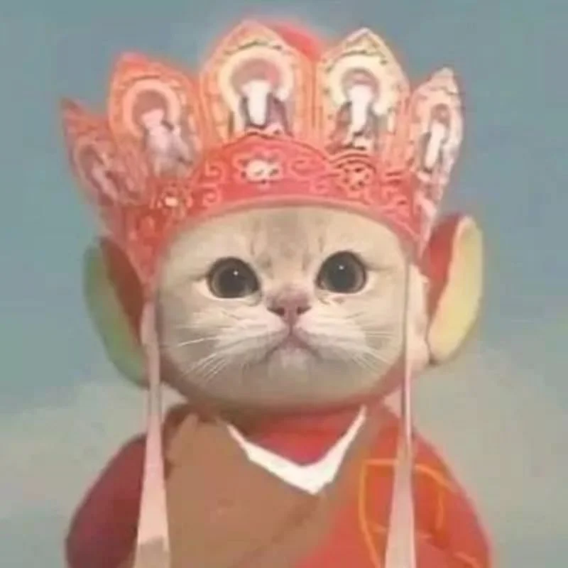 Avatar con mèo đội mũ Đường Tăng độc đáo