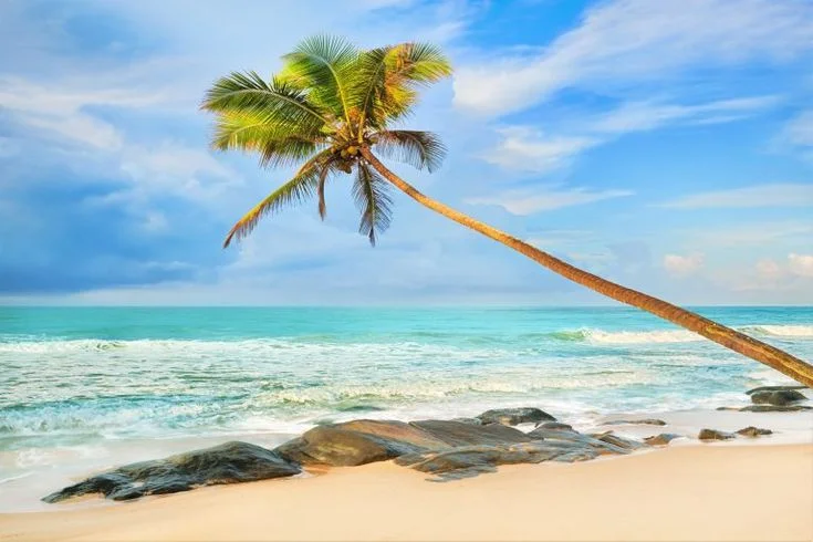 90+ Hình ảnh biển đẹp nhất thế giới chất lượng Full HD | Urlaub, Island,