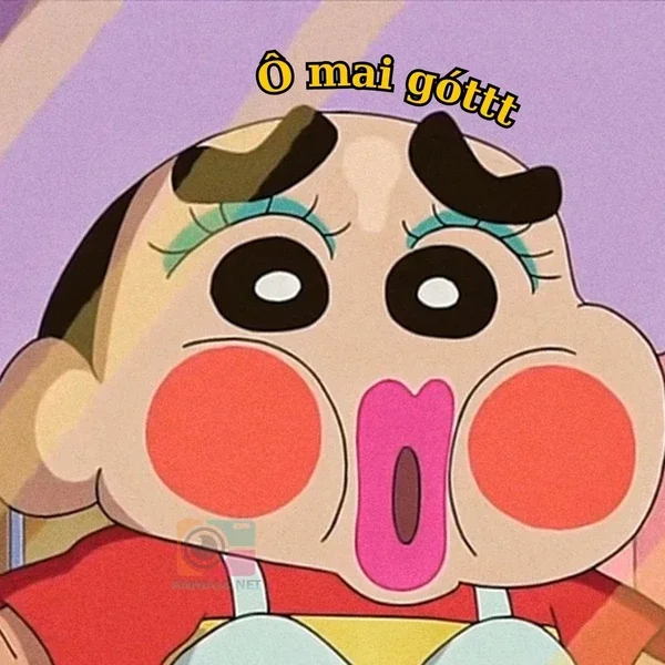 meme shin (2)
